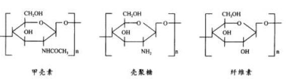 论壳聚糖纤维织物及其性能