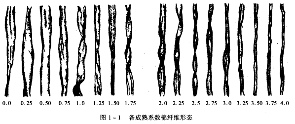 棉纤维成热度的指标